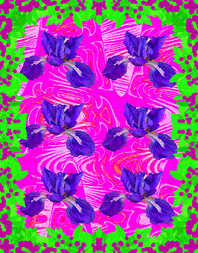 Ayame Psychedelic 1 collage flower graphicart graphicdesign park photoshop psychedelic