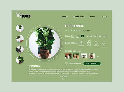 #DailyUI 012 - E-COMMERCE SHOP 012 100daychallenge 100daysofui add to cart daily 100 challenge dailyui dailyui012 design details ecommerce design ecommerce shop figma figmadesign indoor plants onepage plant shop plants ui uidesign