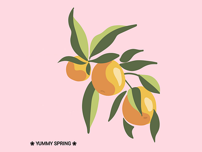 Yummy Spring adobe illustrator design digital art graphicdesign illustration