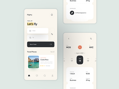 Flighty App UI Design app clean design flat minimal ui ux web website