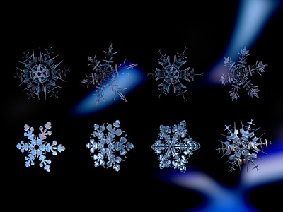 Snig.digital ❄ Snowflakes 3d animation branding chrome texture glass gradients graphic design iteration motion graphics snowflakes ui