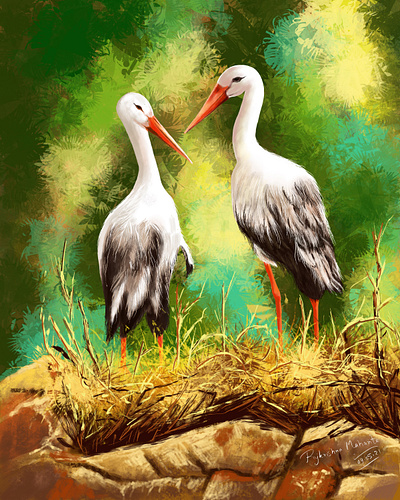 BIRD POTRAIT PAINTING art digital art illustration painting photoshop