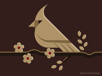 Northern Cardinal