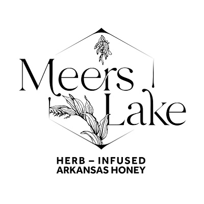 Meers Lake Logo branding design illustration logo typography
