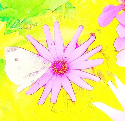 Im21 illustration illustration art ui
