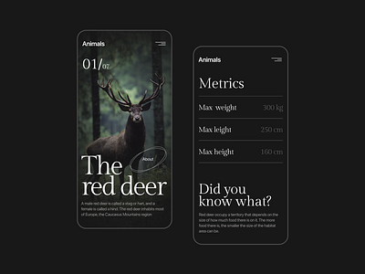 Animals Mobile animal animals concept deer deersite deersite design figma minimal minimalism ui ux uxui web website