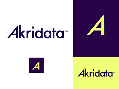 Akridata branding a brand design branding color colors data green palette purple yellow