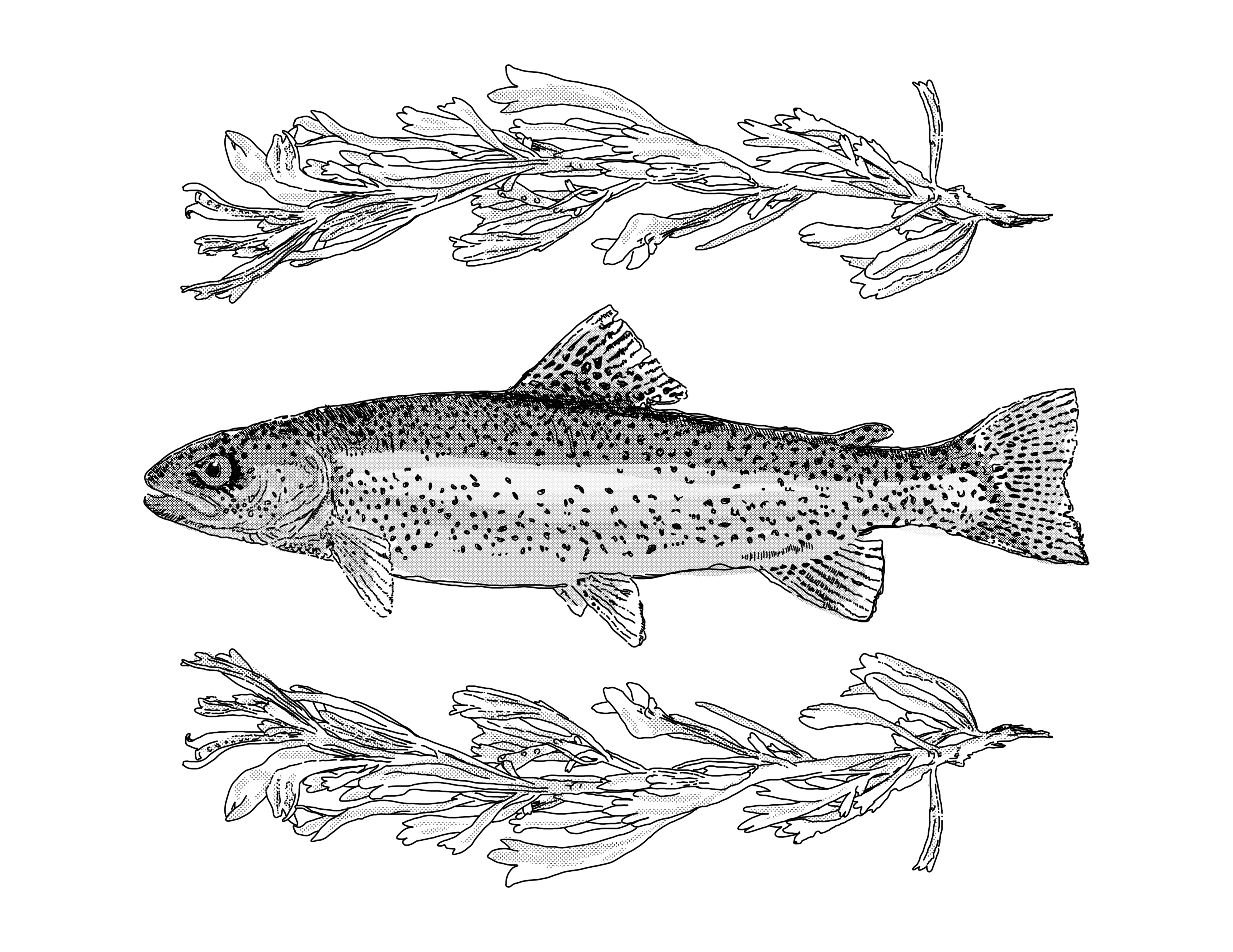 trout boy flyfishing idaho logodesign montana outdoors outdoors logo photoshop trout western