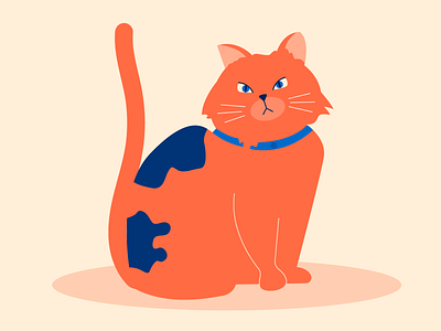 Kitty abstract cat cats character design flat design flat vector illustration kitty