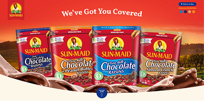 Sunmaid Choco brand identity graphic design landing page ux ui design website design