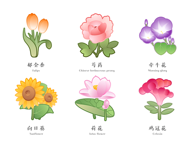 Summer flowers four seasons sketch summer