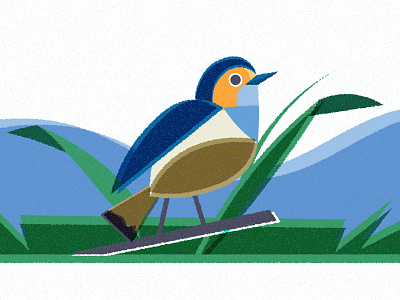 Spring Bird adobe illustrator adobe photoshop amsterdam bird design digital illustration editorial holland illustratie illustration illustrator nature podcast cover risoprint spring vector