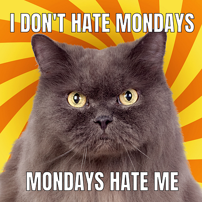 Hate Mondays app design appypie behance design dog graphic illustration illustrator meme mondays