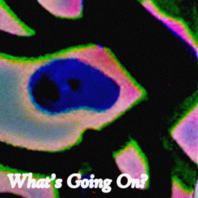 What's Going On abstract album album artwork album cover album cover design art design graphic design photoshop