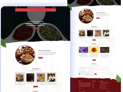 Masoud Saffron design illustration typography ui ui design vector web design