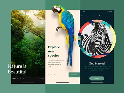 Nature App Onboarding Concept UI 2d app app design art clean concept dailyui dark mode green ios app design logo mobile app natural nature photography onboarding product design ui ux uidesign ux walkthrough