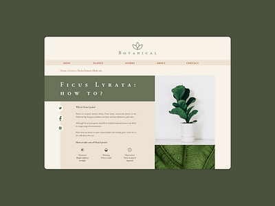 Daily UI #035 - Blog Post blog blog post blogging daily daily ui daily ui 035 daily ui challenge dailyui dailyui 035 dailyuichallenge design plant plant blog plant shop plants ui ux web design website design