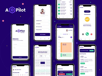 Apilot app branding design flat illustration logo minimal typography ux vector