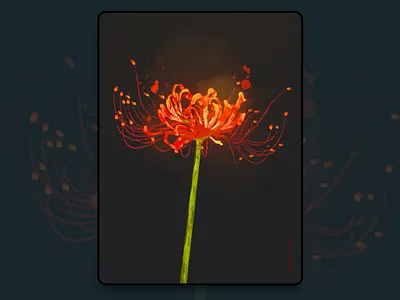 Equinox Flower illustration watercolor