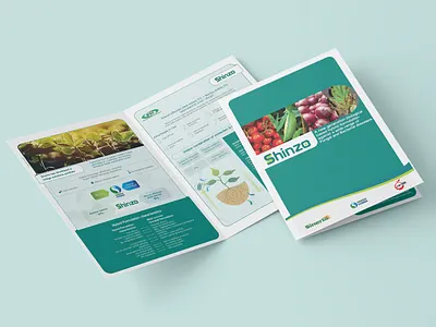 Brochure brochure brochure design design folder logo print typography vector