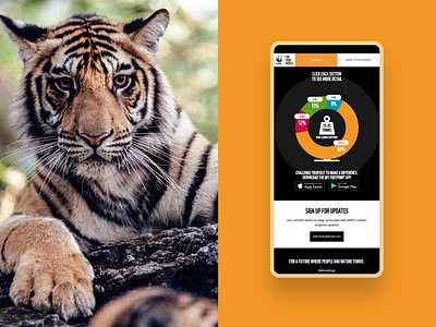 WWF Carbon Footprint Calculator development development agency laravel laravel developer laravel development laravel web app sustainability web agency web app web application web application development webdevelopment