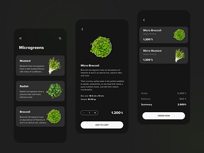 Online store for "Bostan Microgreens" dark mode dark ui delivery app healthy food online store product design ui design