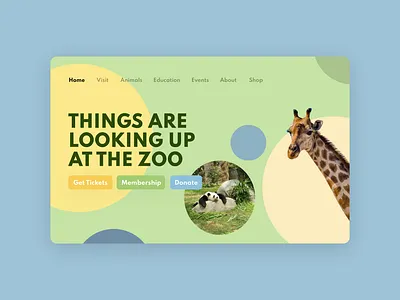 ui challenge 003 animal daily ui dailyui dailyui 003 dailyuichallenge landing landing design landing page website website design zoo