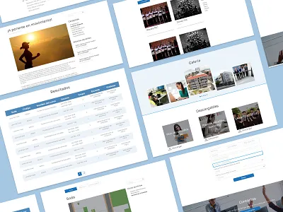 University-Web site ux ui visual design web design