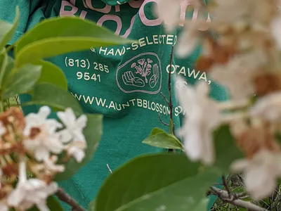 Aunt B's Blossoms Tee badge brand branding design identity illustration lettering linework logo merch shirt shirt design type typography