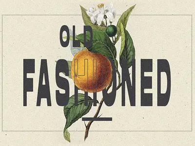 LUNAR PALMS FONT branding design graphic design type typography