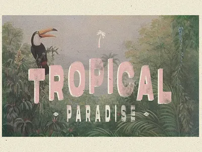 LUNAR PALMS FONT branding design graphic design illustration type typography