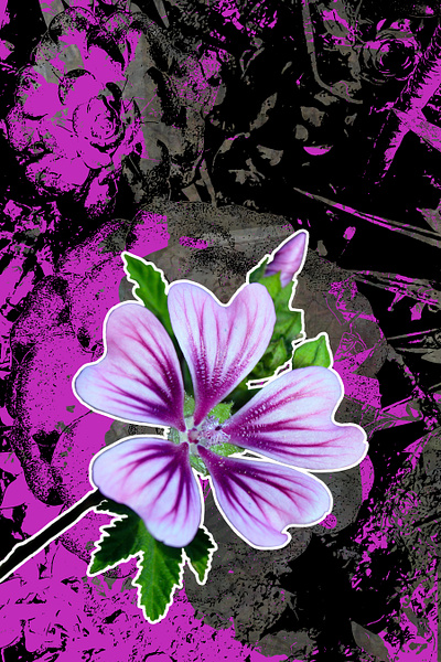 Purple is the Reason flowers photography purple vector vector art