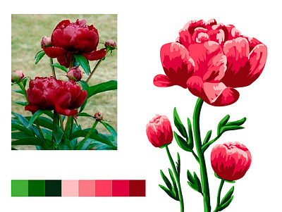 Peony illustration vector открытка пион цветок цветы цифровая живопись