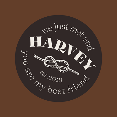 Harvey Badge Logo badge logo brand identity brand identity design brand identity designer brand system branding dog branding dog logo flat color flat illustration harvey illustration pet branding pet logo rope vector