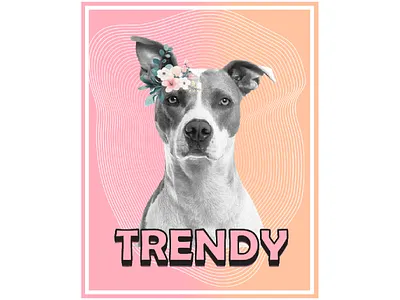 FLORAL DOG POSTER design floral floral design floral portrait florals flowers illustration portrait poster