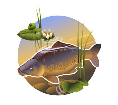 Сarp in shallow water carp illustration nature shallow water vector water water lilies