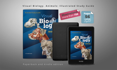 Visual Biology. Animals: Illustrated Study Guide animals design diology graphic design illustration invertebrates textbook vertebrates