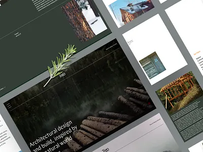 Architect Website branding design logo mobile website typography ux web web design website website designing