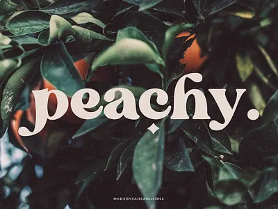 Blanch Sage Retro Font 70s font blanch sage retro font boho font bold serif branding font chic cool fashion fat serif feminime funky groovy font logo font magazine modern font retro font sage retro font stylish trendy vintage font