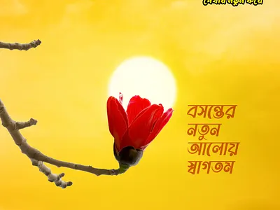 Matador Lights & Accessories Falgun Ad ad bangladesh bd concept creative electrical falgun fb ad lights matador