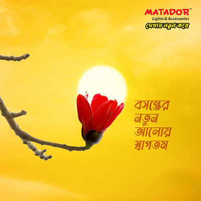 Matador Lights & Accessories Falgun Ad ad bangladesh bd concept creative electrical falgun fb ad lights matador