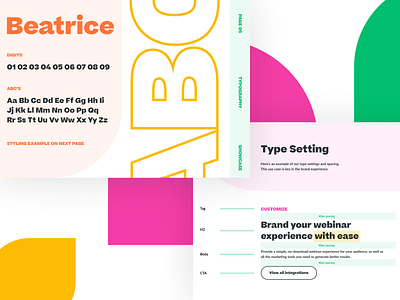Brand Book - Typography brand brand book brand guide brand guidelines brand identity brand uplift branding identity saas tech typography webinar