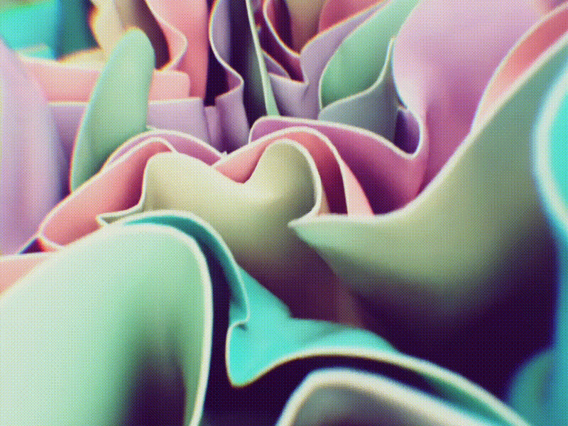 Blossom 3d cg houdini mograph redshift redshift3d