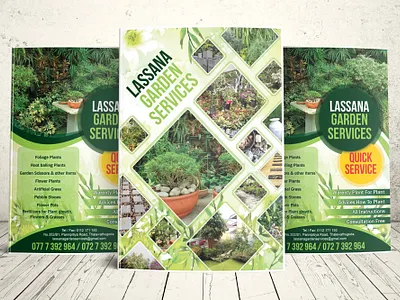 LASSANA GARDEN BROUCHERS brochure design illustration logodesign