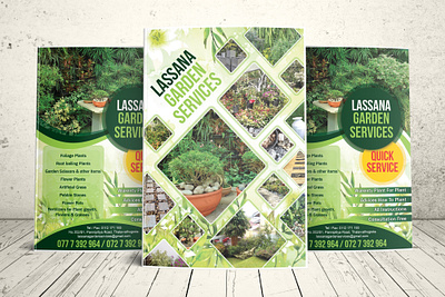 LASSANA GARDEN BROUCHERS brochure design illustration logodesign