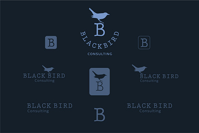 Black Bird Consulting Logo Identity brand branding clean design graphic design icon identity logo logo design logodesign minimal
