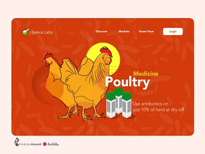 Illustration and website UI design branding illustration poultry ui design website
