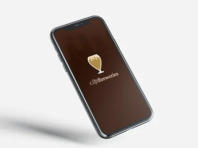 Splash app cerveza artesanal - 2016 app design illustration ui