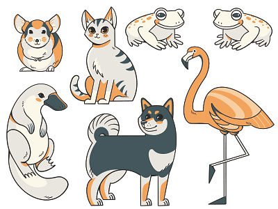 Animals animals animals illustrated art design digital art digitalart drawing illustration painting procreate procreateapp