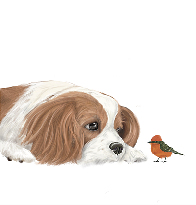 King Charles Spaniel character design characterdesign childrens book illustration childrens illustration digital digital art digital painting dog illustration pet art petshop